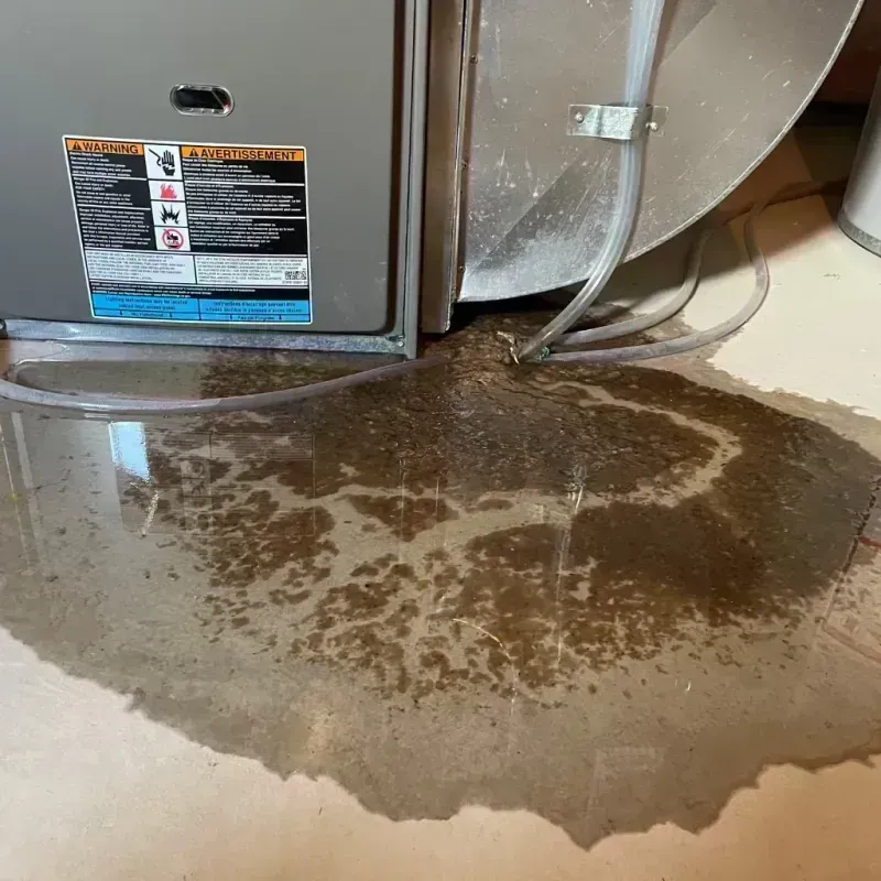 Appliance Leak Cleanup in Columbia, KY